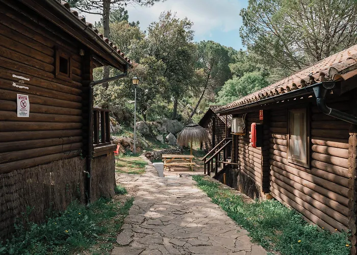 Camping Tajorodillo
