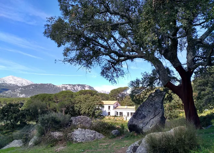 Tambor Del Llano